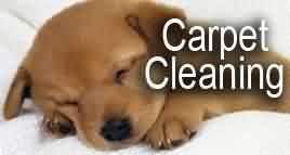 carpet-cleaning